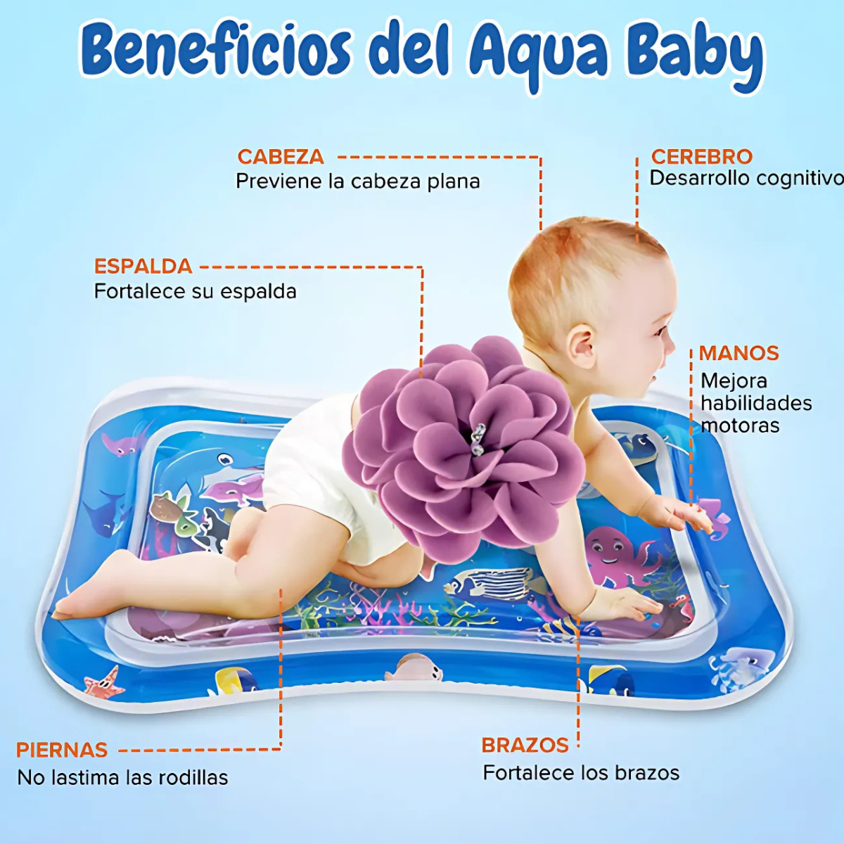 Aqua Baby Favorece el desarrollo motriz y sensorial